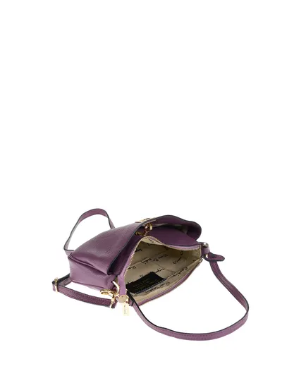 Viola